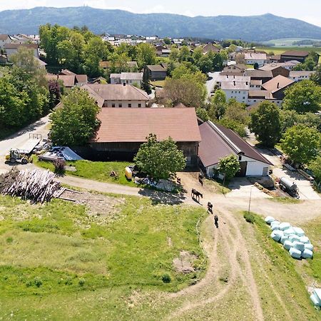 Ferienhof Schuetz Eschlkam Екстер'єр фото